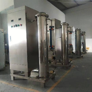 小型臭氧發生器對肉制品車間消毒是如何進行的？