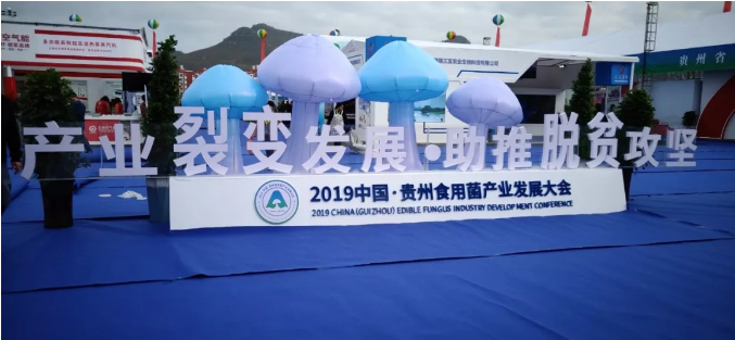 【貴州食用菌博覽會】正旭新能源自主研發多功能高效超高溫熱泵蒸汽機震撼問世