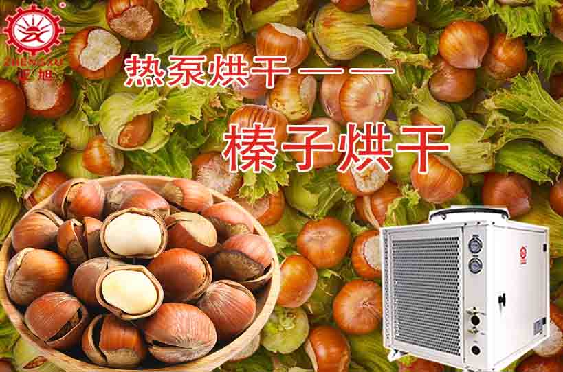 正旭榛子烘干工藝及烘干設備