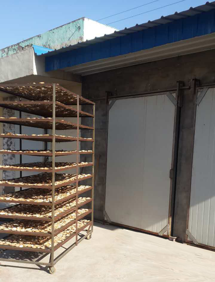 河北聯興佳圭公司項回、芽球玉蘭烘干項目